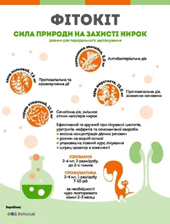 Розчин для перорального застосування для котів БіоТестЛаб Фітокот 100 мл (ТП0520011)