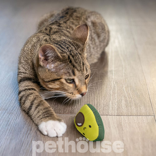 Catstages Lil' Avocato Іграшка "Авокадо" для котів
