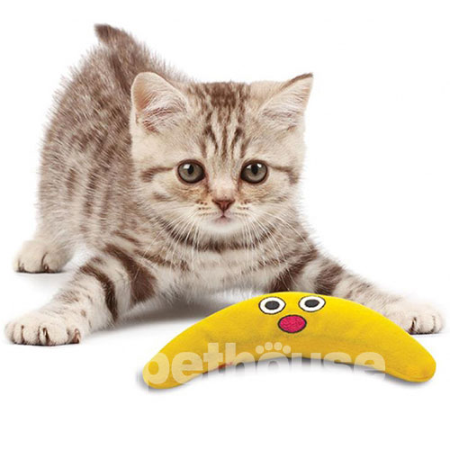 Catstages Boomerang Buddy Іграшка "Магічний бумеранг" для котів