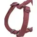 Шлея для собак Trixie Premium H-harness S–M - бордовий