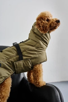 Жилет попона для собак Dogs Bomba хакі GP-5 9 р.