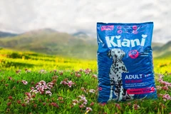 Kiani Корм для собак