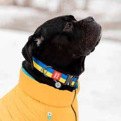 Нашийник для собак нейлоновий WAUDOG Nylon з QR паспортом, малюнок "Colors of freedom", пластиковий фастекс, S, Ш 15 мм, Дов 25-35 см