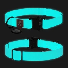 Нашийник для собак водостійкий WAUDOG Waterproof c QR паспортом, світонакоплювальний, металічна пряжка-фастекс, Ш 25 мм, Дов 34-49 см
