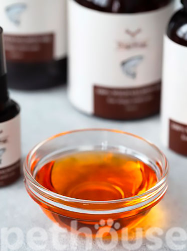DogsRogs Wild Salmon Oil