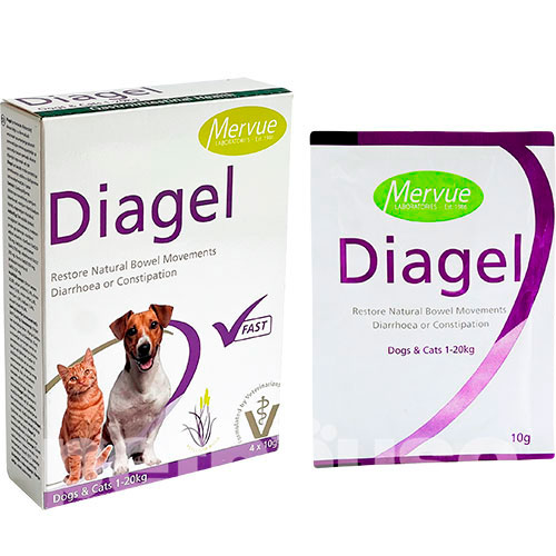 Mervue Diagel Cats & Dogs