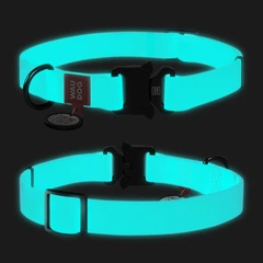 Нашийник для собак водостійкий WAUDOG Waterproof з QR-паспортом, що світиться, металева пряжка-фастекс, Ш 25 мм, Дл 38-58 см
