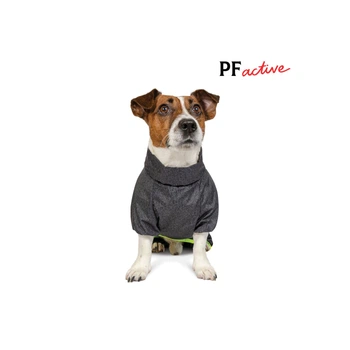 Комбінезон для собак Pet Fashion Rain, сірий XS для такс