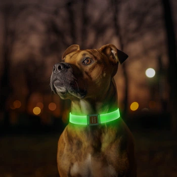 Нашийник для собак з підсвічуванням WAUDOG LED, магнітна застібка, 35 см, 25 мм
