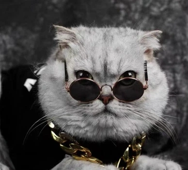 Окуляри для собак Pet Style 8 см Рожеві