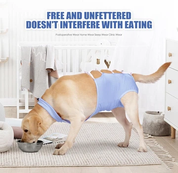 Дихаюча попона для собак Derby Breathable Pet Recovery Suite, Blue, M
