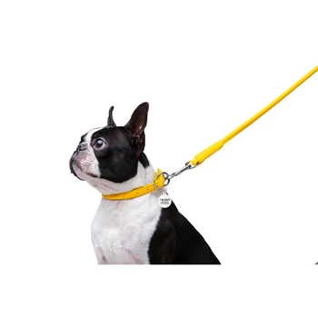 Collar Повідець для собак шкіряний WAUDOG Glamour круглий, Д 8 мм, Дов 122 см жовтий