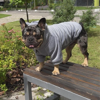 Одяг для собак "Teddy Sweatshirt Grey". SKU 004789. Розмір L. Your Stylish Hunter. Худі для собак для французського бульдога, мопса, спанієля та інших.
