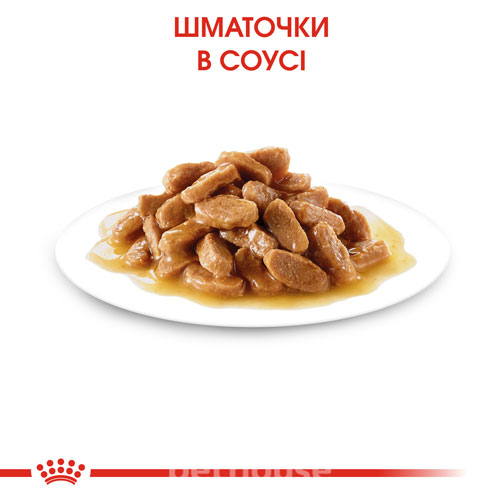 Royal Canin Вологий корм (шматочки в соусі) з м'ясо та м'ясні субпродукти для собак мініатюрних порід