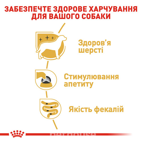 Royal Canin Корм з курка свинина для дорослих собак