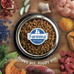 Сухий беззерновий корм для дорослих собак дрібних порід Farmina N&D Ocean Cod Pumpkin & Orange Adult Mini з тріскою та апельсином 7 кг (173417)