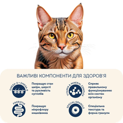 Home Food Корм