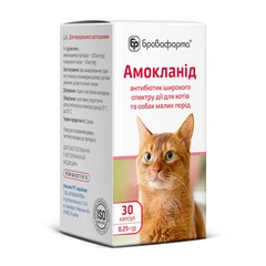 Бровафарма Амокланід капсули по 0,25 г, 30 штук