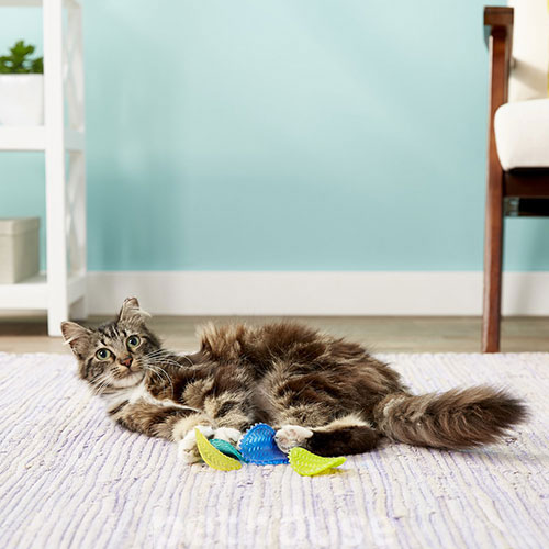 Petstages Toss N' Flip Chips Жувальні чіпси для котів