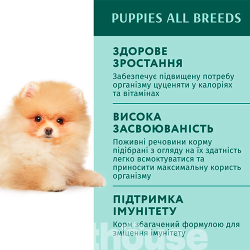 Optimeal Вологий корм (шматочки в соусі) з індичкою для собак