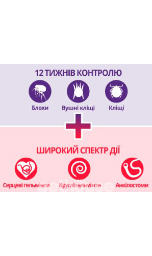 Бравекто Препарат для котів