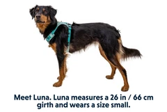 Полегшена шлейка для собак Ruffwear Hi & Light L/XL 81-107 см Зелений