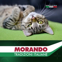 Morando Корм