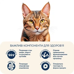 Home Food Корм для дорослих собак