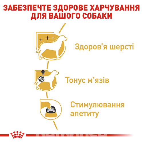 Royal Canin Корм з м'ясо та м'ясні субпродукти риба для дорослих собак