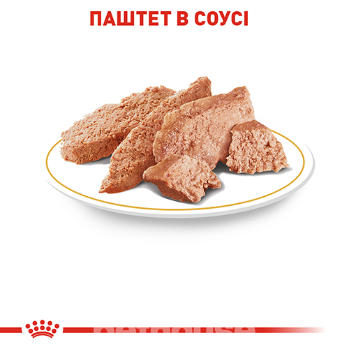 Royal Canin Корм з м'ясо та м'ясні субпродукти риба для дорослих собак