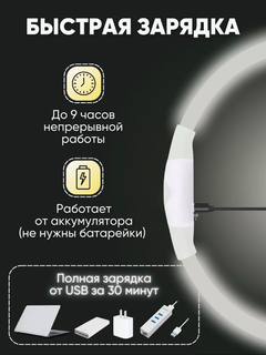 Grand Led Нашийник для собак світлодіодний колір Білий (холодне + тепле свічення) розмір 35 см