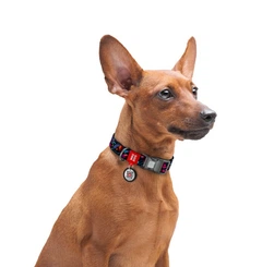 Collar Нашийник для собак нейлоновий WAUDOG Nylon з QR паспортом, малюнок NASA пластиковий фастекс Ширина 25 мм Довжина 35-58 см