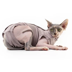 Попона комбінезон після стерилізації операції для котів та котів Style Pets S