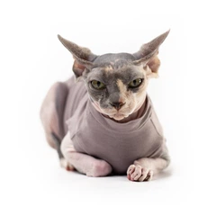 Попона комбінезон після стерилізації операції для котів та котів Style Pets S