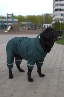 Dogs Bomba Одяг для тварин