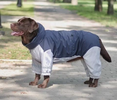 Dogs Bomba Одяг для тварин