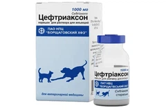 Порошок для ін'єкцій Цефтриаксон антибіотик бактерицидної дії 1 г БХФЗ