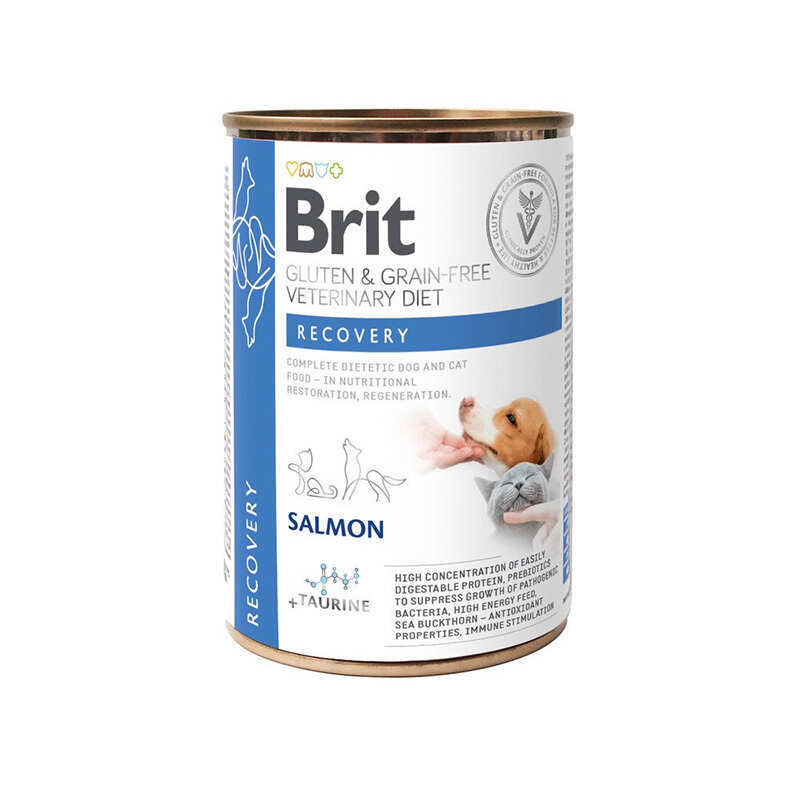 Brit Grain Free Veterinary Diets Brit GF Veterinary Diet (Бріт Ветерінарі Дієт) Recovery Dog & Cat - Беззерновой влажный корм с лососем для собак и кошек в период выздоровления