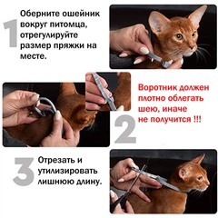 Нашийник проти Блох для Кота Clefers Соllаr38см - від Блох і Кліщів, 8 місяців дії, Гіпоалергенний (50210821ZB)