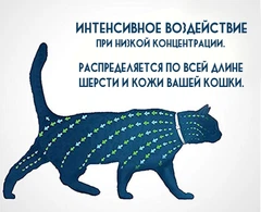 Нашийник проти Блох для Кота Clefers Соllаr38см - від Блох і Кліщів, 8 місяців дії, Гіпоалергенний (50210821ZB)