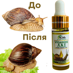 MrHelix Добавка
