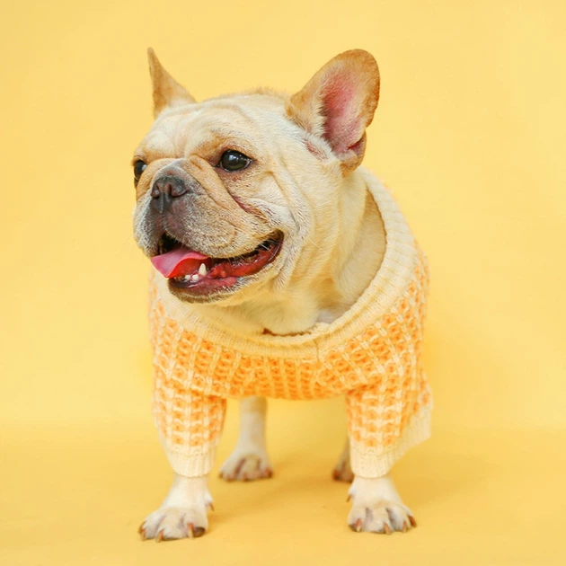 Без бренда Светр для собак PetCircle широка безжова в'язка, помаранчевий L Petcircle Summer 000354949