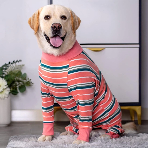 Піжама/попона для собак MIAODODO D15 Pink Stripes, 2XL