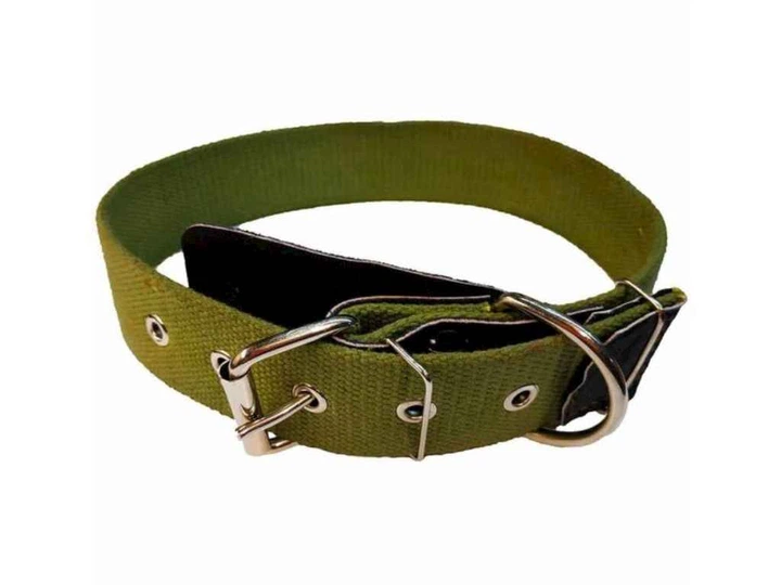 Без бренда Нашийник DOG COLLAR брезент 40см 20мм одинарний