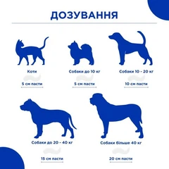 Паста MODES Dr.KIS Intestinal для підтримки здоров'я шлунково-кишкового тракту котів та собак 50г