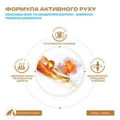 Mavsy Salmon Oil + Glucosamine & Chondroitin - Лососева олія з глюкозаміном та хондроїтином, 300 мл