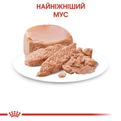 Royal Canin Паштет для кошенят