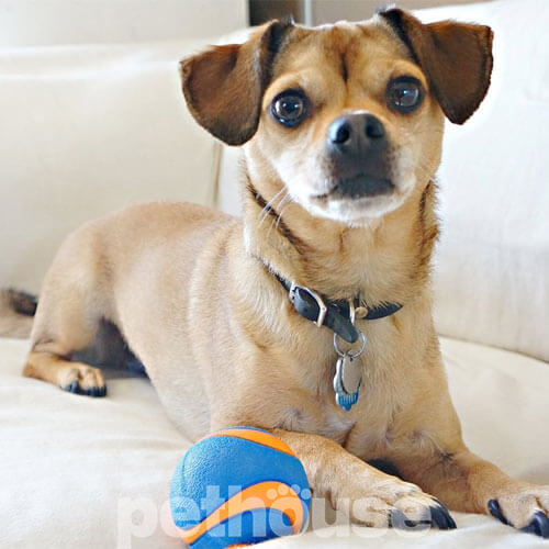 Chuckit! Ultra Squeaker Ball Small М’яч із пискавкою для собак малих порід
