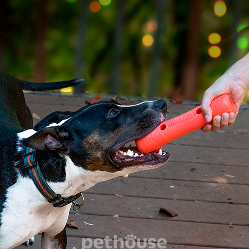Dexas Off-Leash Tumbler Гантель з карабіном для собак