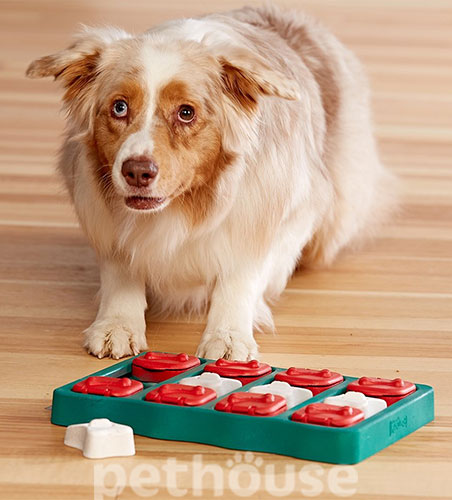 Nina Ottosson Dog Brick Головоломка для собак